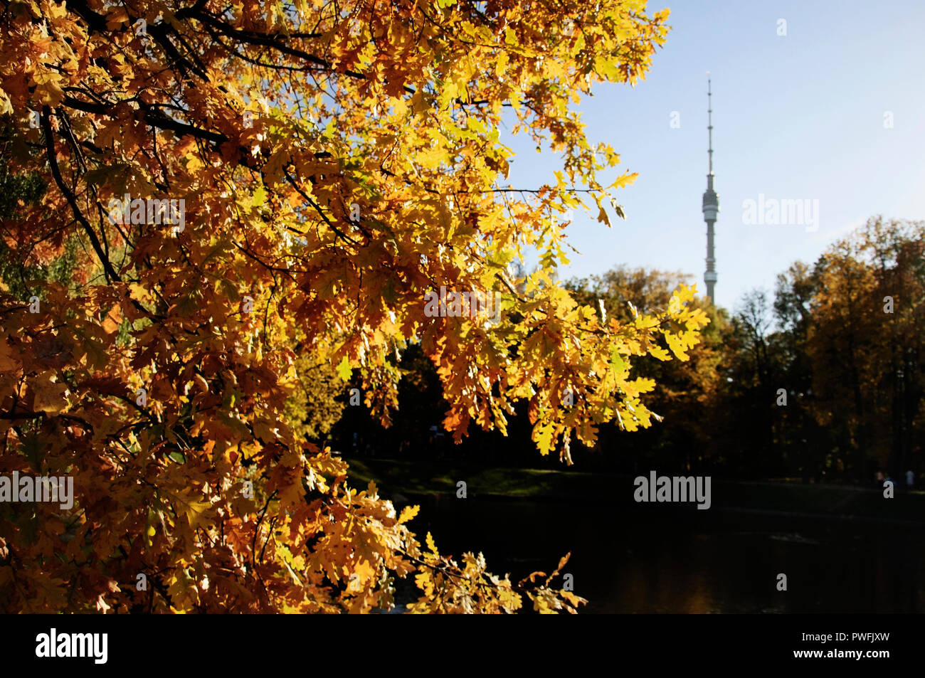 Indian Summer in der Stadt Stockfoto