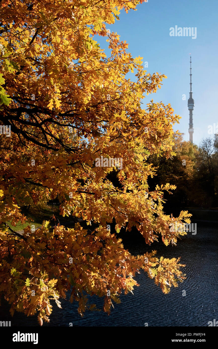 Indian Summer in der Stadt Stockfoto