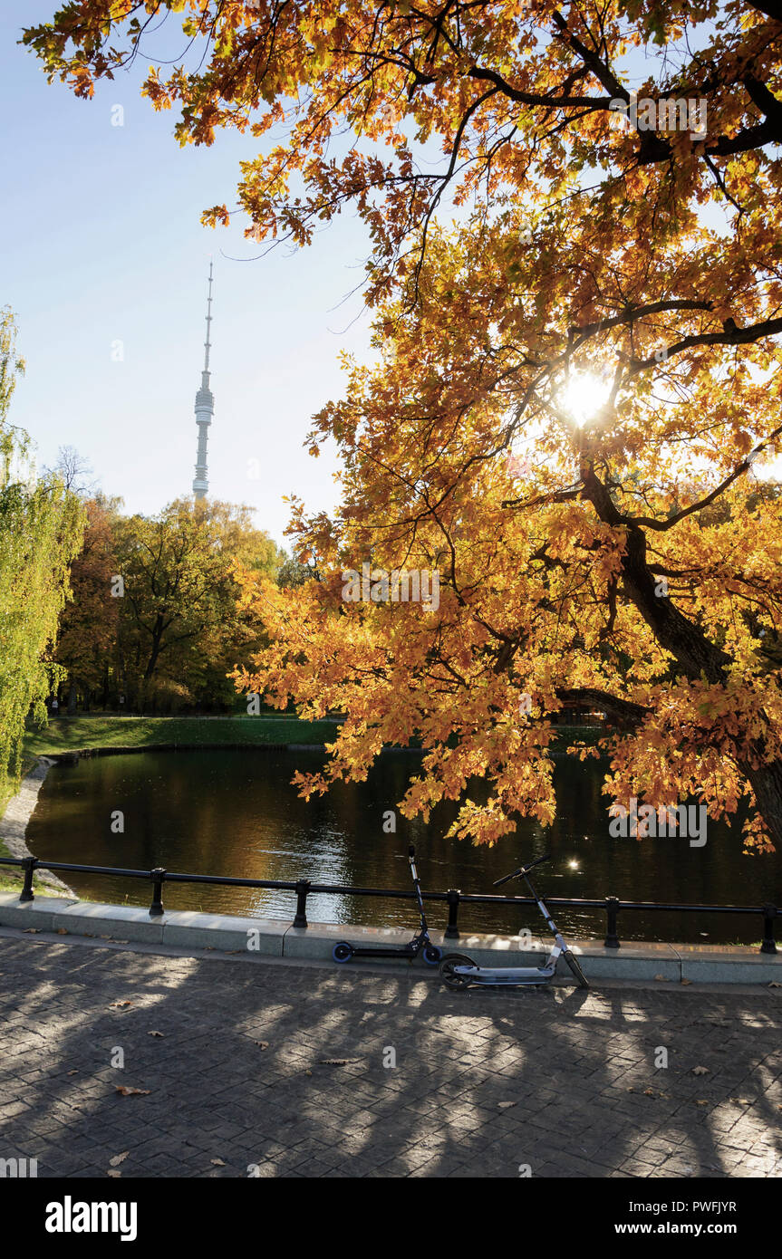 Indian Summer in der Stadt Stockfoto
