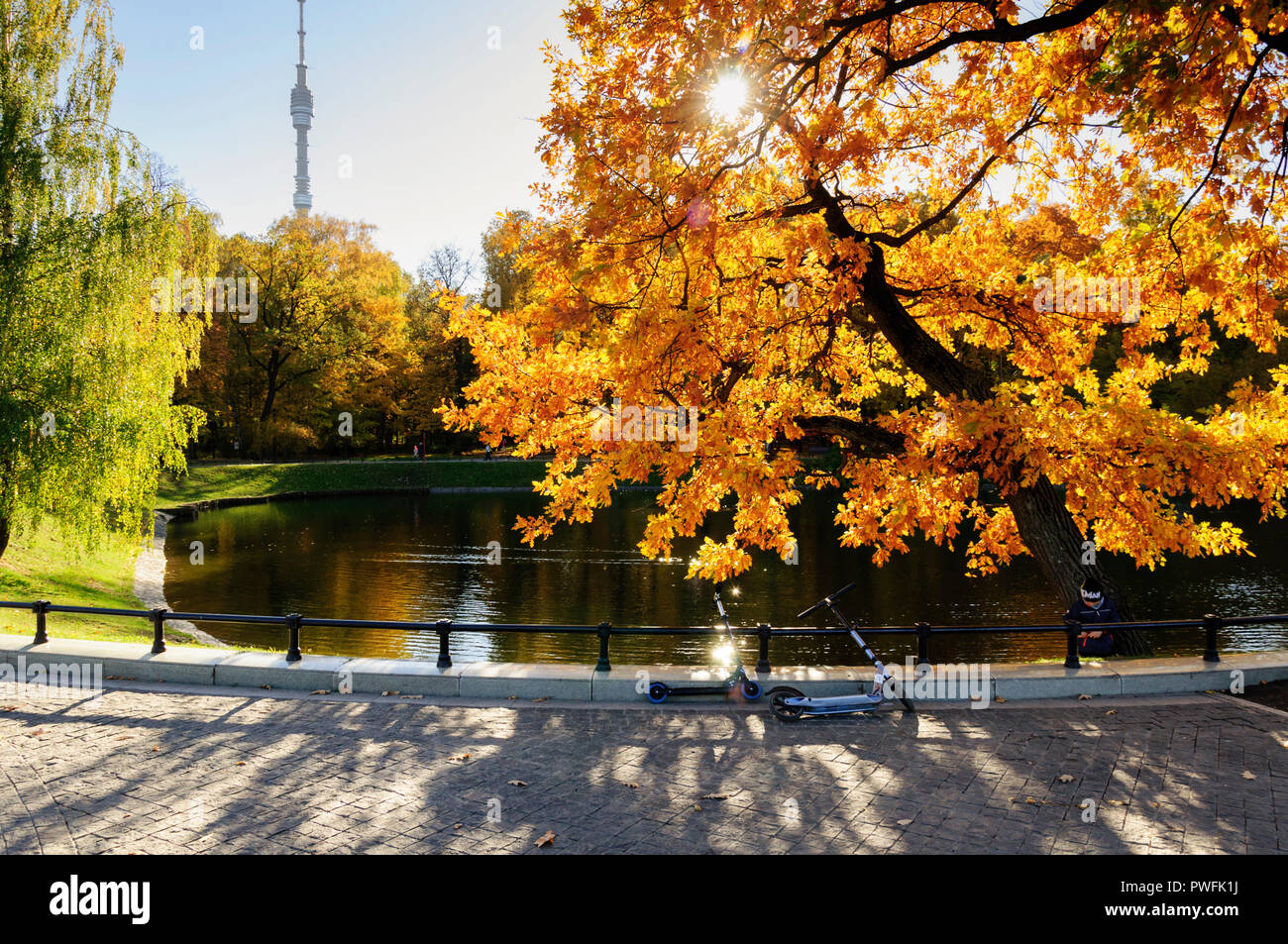 Ostankino City Park im Herbst Stockfoto