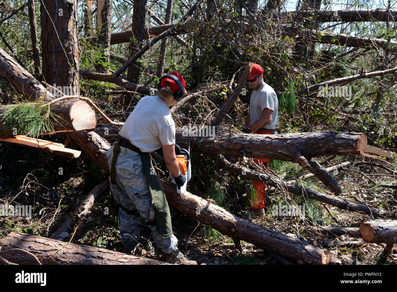 Staff Sgt. Colleen Curren und Senior Airman Curtis Jones, beide Strukturen aus der 202. Geben Sie der Camp Blanding, Fla. Kettensäge durch einen umgestürzten Baum auf Debi Straße im Bayou George Bereich von Panama City Oktober 14, 2018, 14. Oktober 2018 gesellen. Die GEBEN Sie auf Für ihr Know-how in der effizienten Route clearing genannt nach dem Hurrikan Michael durch kamen. (U.S. Air National Guard Foto: Staff Sgt. Carlynne DeVine). () Stockfoto
