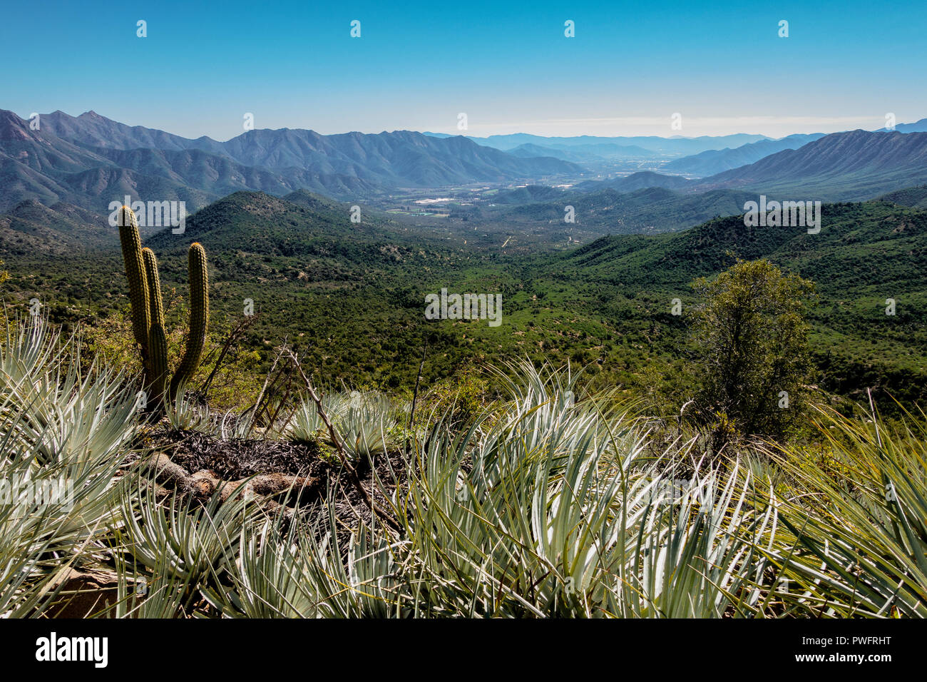 Ein Blick auf die Reserva Ecologica Oasis de la Campana und mit Blick auf die Täler der Hijuelas, Ocoa Region von Valparaiso, Chile. Stockfoto