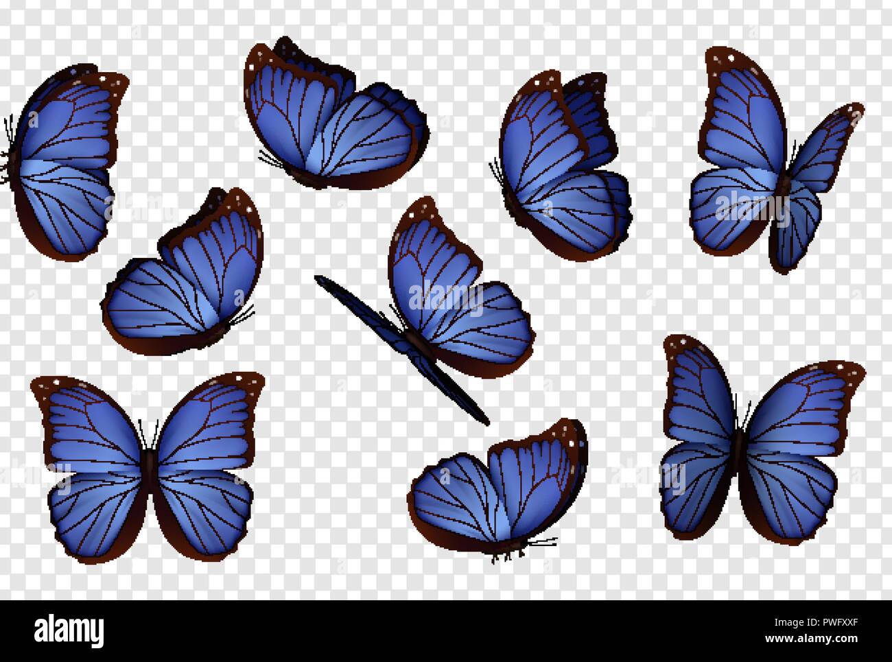 Schmetterling Vektor. Lila isoliert Schmetterlinge. Insekten mit hellen Färbung auf transparentem Hintergrund Stock Vektor