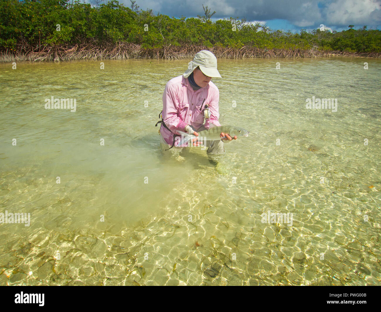 Szene aus Salzwasser Fliegenfischen für bonefish und Tarpon, roosterfish, Mahi Mahi, Thunfisch, Makrele, und ermöglichen. Stockfoto