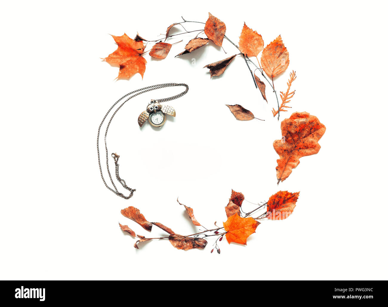 Herbst Hintergrund - trockene Blätter im Herbst und alte Bronze clock in Form von die Eule auf den weißen Hintergrund. Herbst noch Leben mit Platz für Text Stockfoto