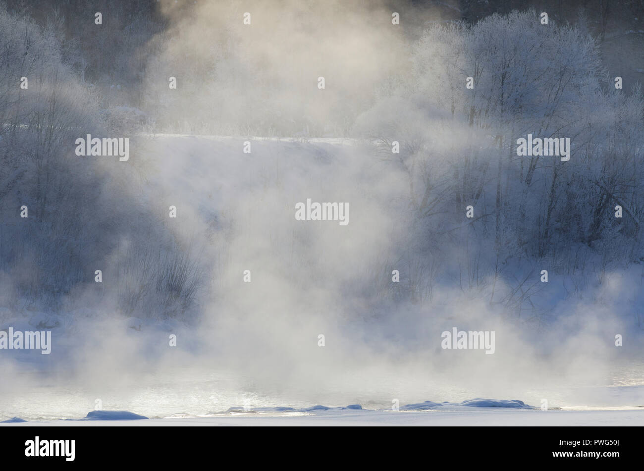 Dichter Nebel im Sonnenlicht über den Fluss an einem frostigen Morgen im Winter Stockfoto