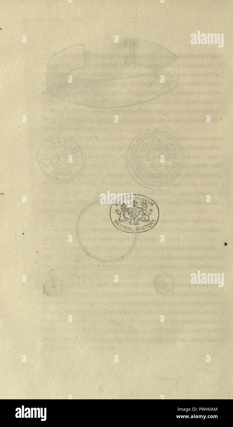 Bulletins de l'Académie royale des Sciences, des Lettres et des beaux-arts de Belgique Stockfoto