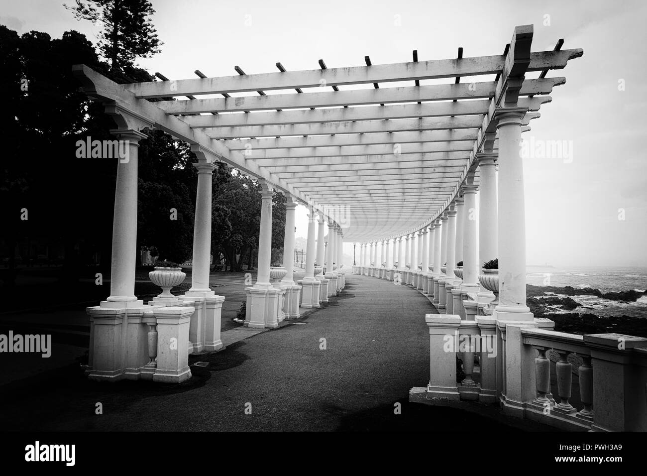 Oporto Pergola. Umgewandelt in Schwarz und in Weiß. Stockfoto