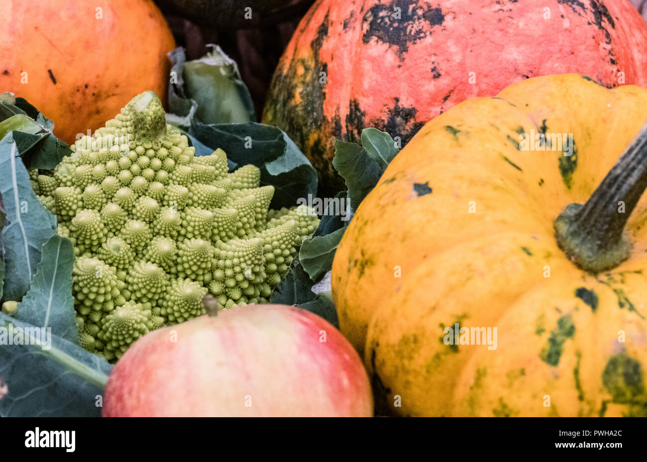 Eine Auswahl von Herbst Gemüse in einer Show Stockfoto