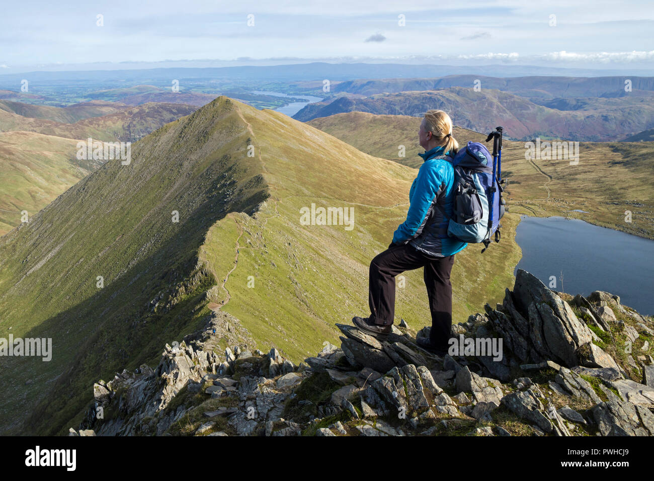 Im mittleren Alter Wanderer auf Swirral Kante mit dem Blick in Richtung Catstye Cam, Lake District, Cumbria, Großbritannien Stockfoto