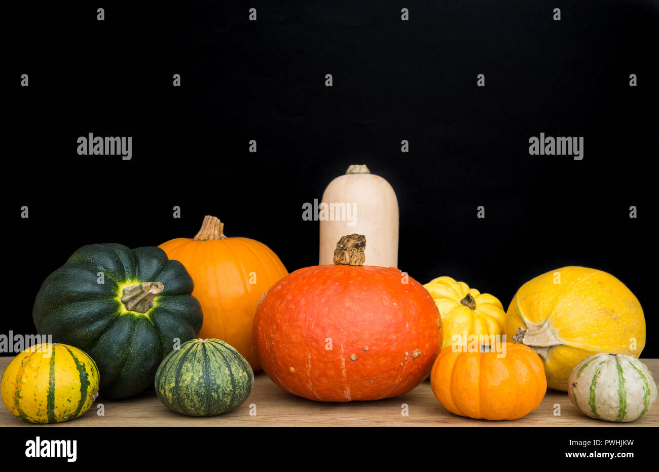 Ein Sortiment von verschiedenen Arten der Kürbisse, Zucchini und Kürbisse auf einem Markt Regal mit einem schwarzen Hintergrund und kopieren Raum ausgehen. Stockfoto