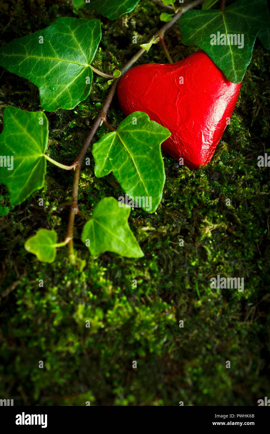 Herz Schokolade In Leuchtend Roten Folienverpackung Auf Dunklen Grunen Moos Und Efeu Blatter Symbol Der Treue Romantische Hintergrund Textur Kopie Raum Stockfotografie Alamy