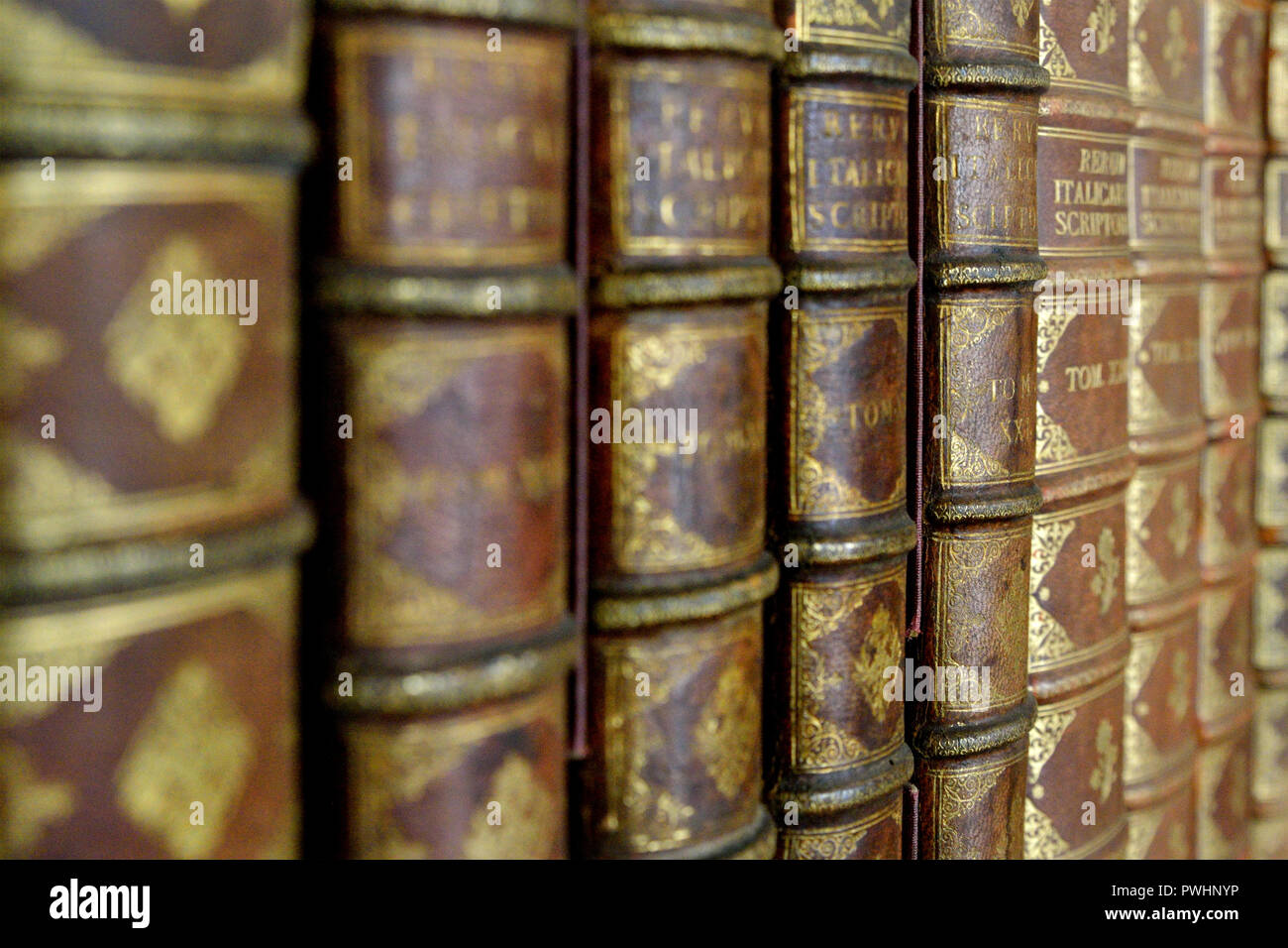 Alte Bücher im Bücherregal Stockfoto