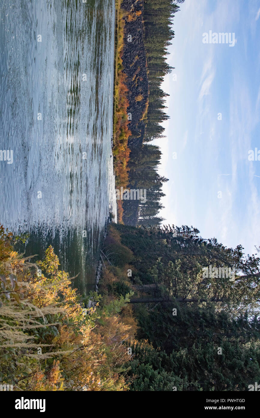 Ein talus Hang gibt Weg für helle Herbst Laub auf der Bank des Deschutes River in Oregon. Stockfoto