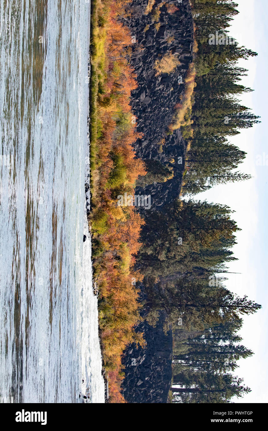 Ein talus Hang gibt Weg für helle Herbst Laub auf der Bank des Deschutes River in Oregon. Stockfoto