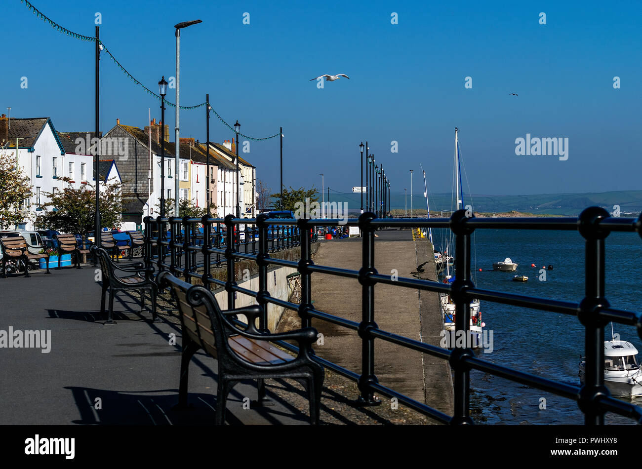 Appledore Dorf, North Devon, Kai und Fassaden Stockfoto