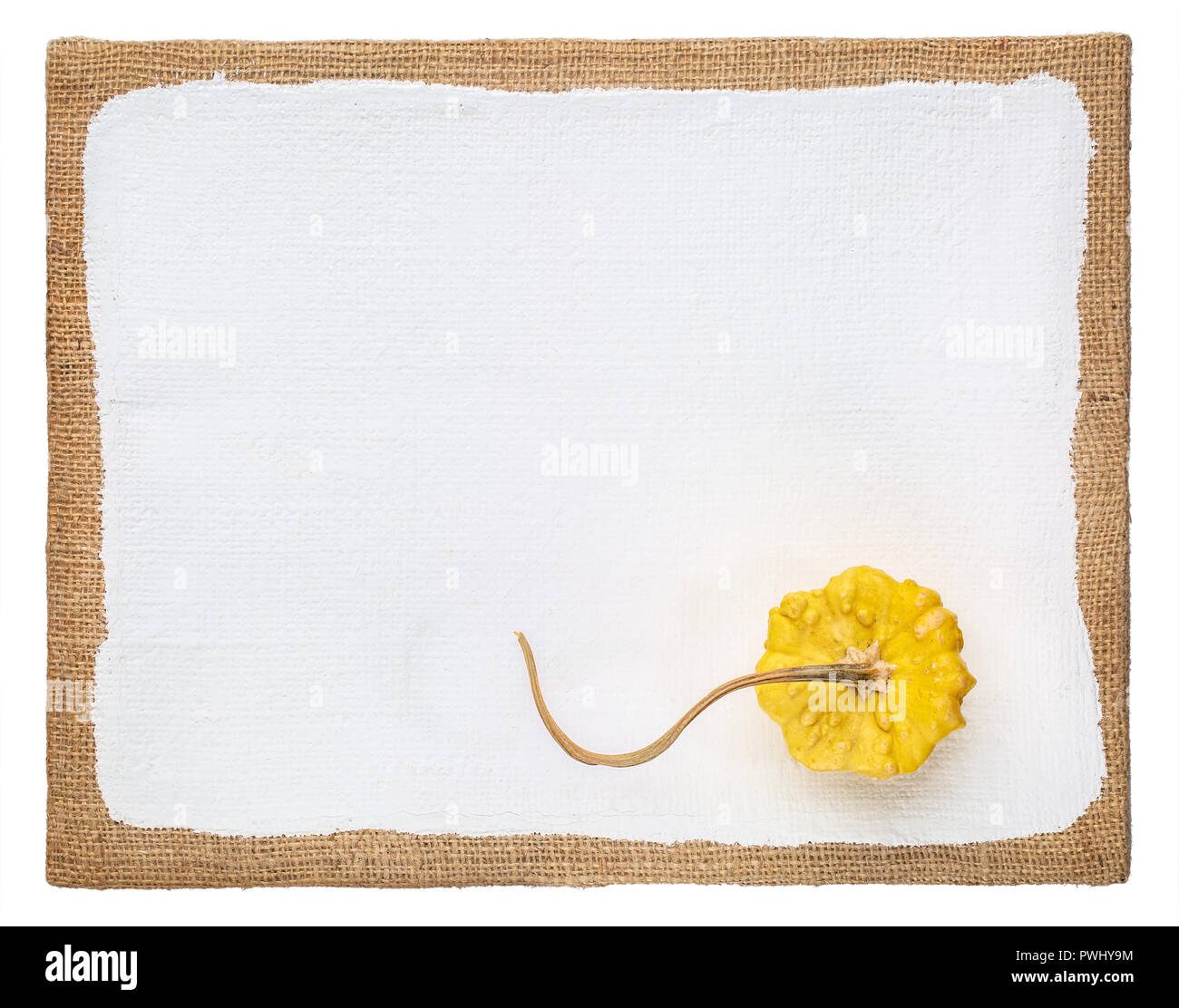 Gelb dekorative Staude auf grundierte Leinwand mit einer Kopie Raum Stockfoto