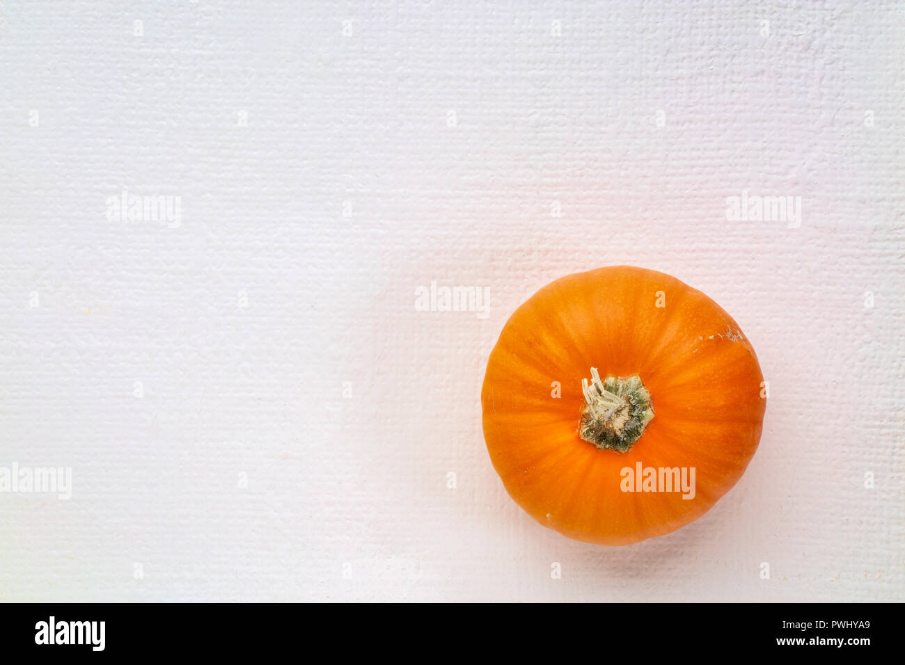 Zierpflanzen Kürbis Kürbis auf weißer Leinwand mit einer Kopie Raum Stockfoto