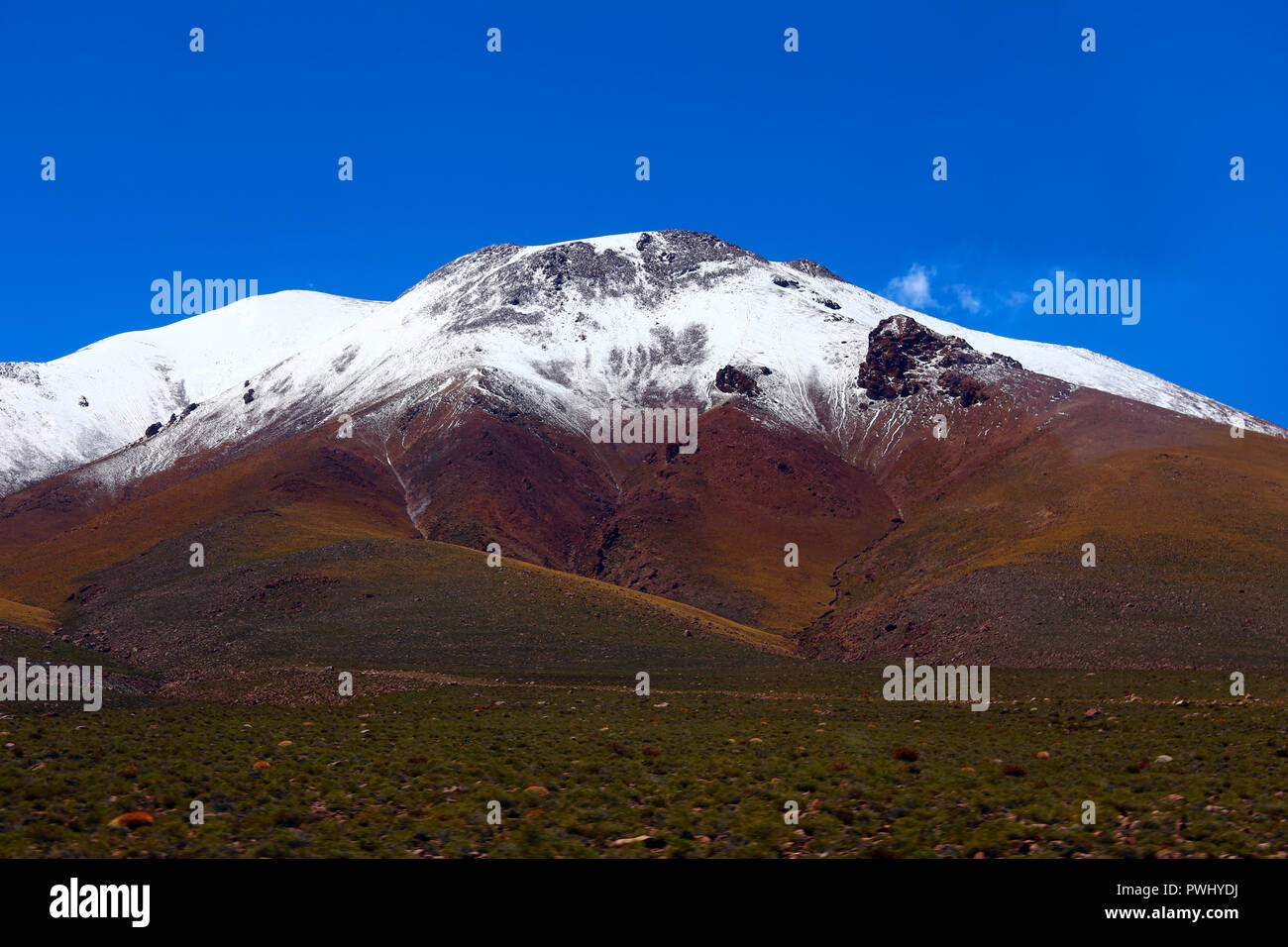 Weißer Schnee und grüne Vegetation in der Nähe von San Pedro de Atacama (Chile). Stockfoto