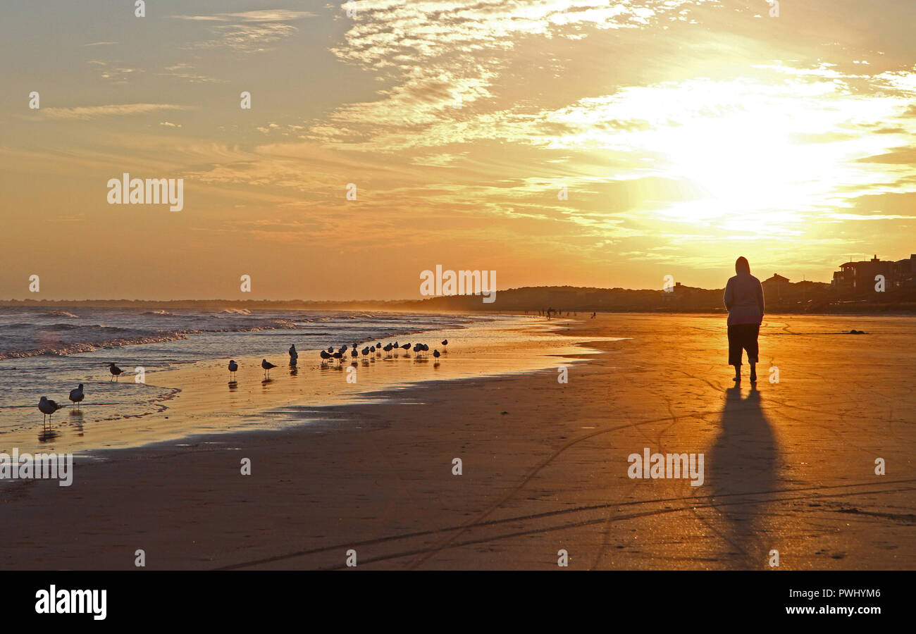 Sonnenuntergang Kasten ein goldenes Leuchten über einen Ocean Beach walker At Kiawah Island, South Carolina. Stockfoto