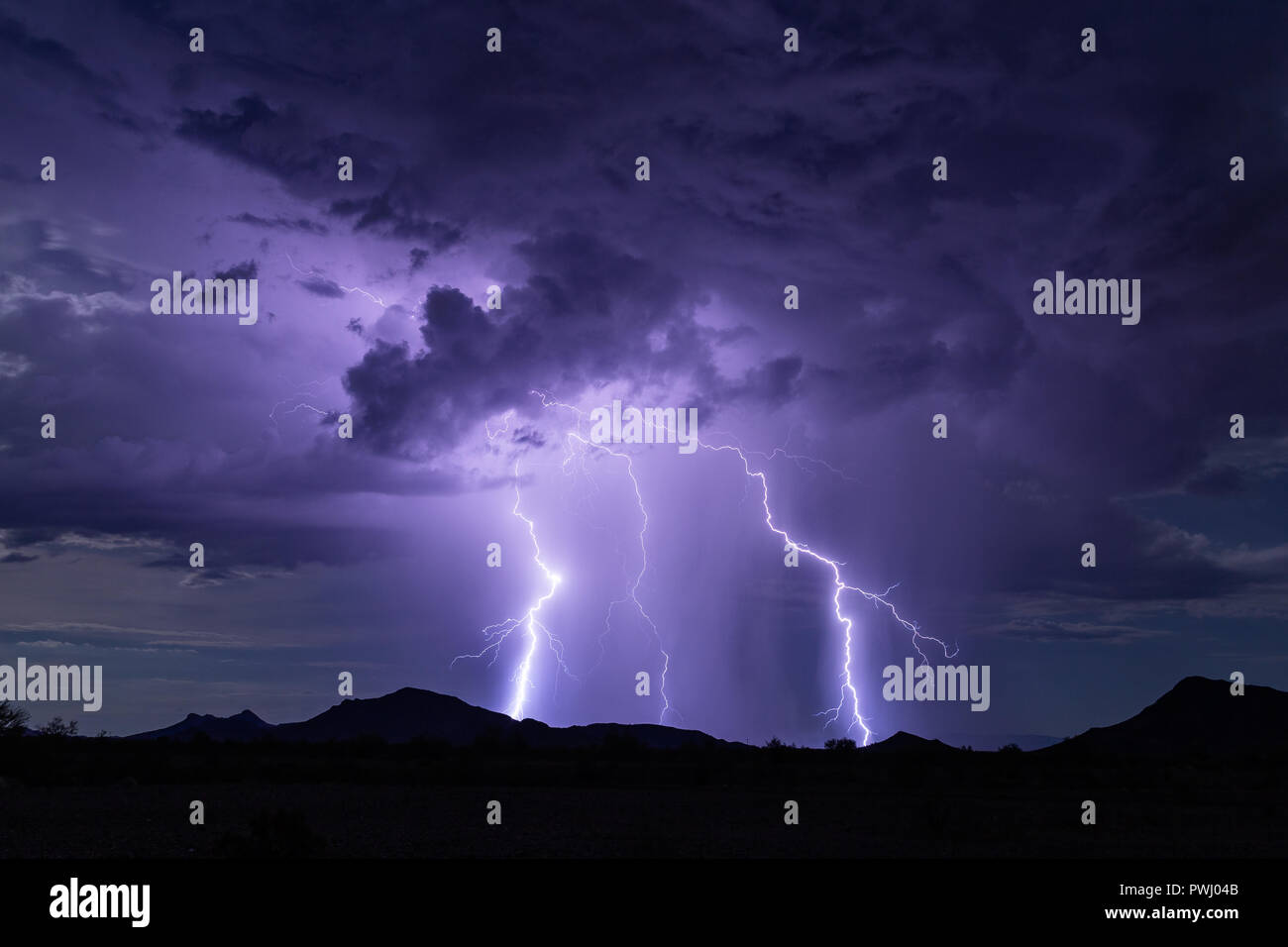 Blitze treffen aus einer Sturmwolke am Nachthimmel Stockfoto