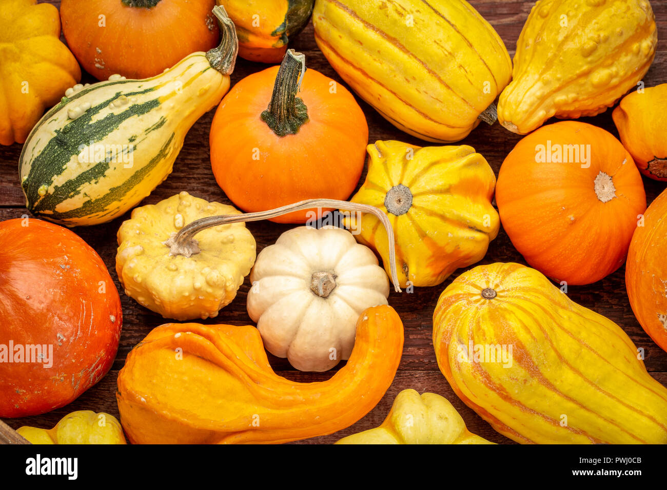 Hintergrund der bunten Winter Squash und dekorative Kürbisse auf rustikalem Holz Stockfoto