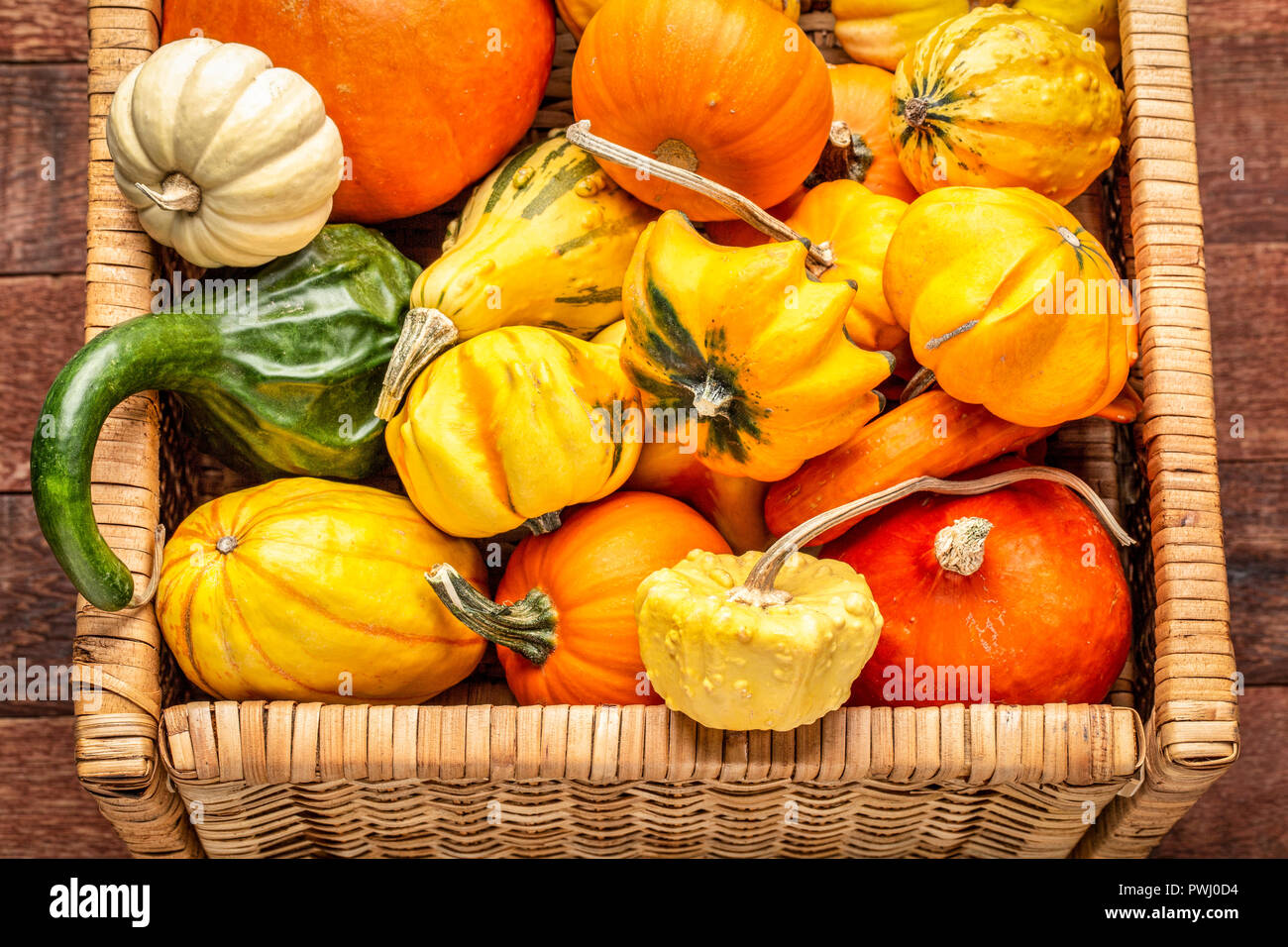 Hintergrund der bunten Winter Squash und dekorative Kürbisse in einem Korb Stockfoto