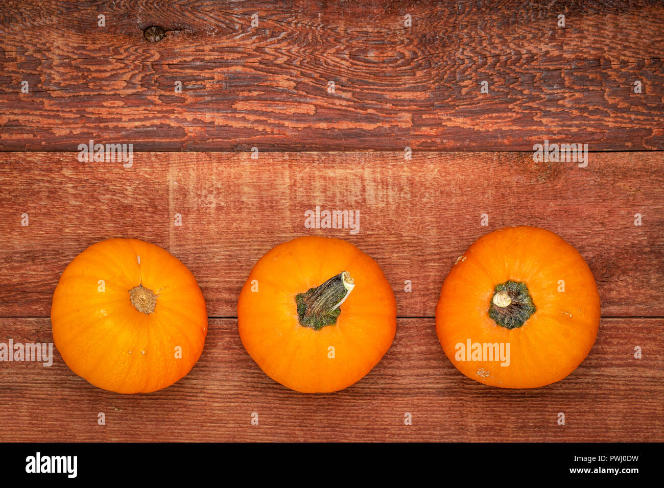 Drei wie Pumpkin dekorative Kürbisse auf rustikalen Holzbrett mit einer Kopie Raum Stockfoto