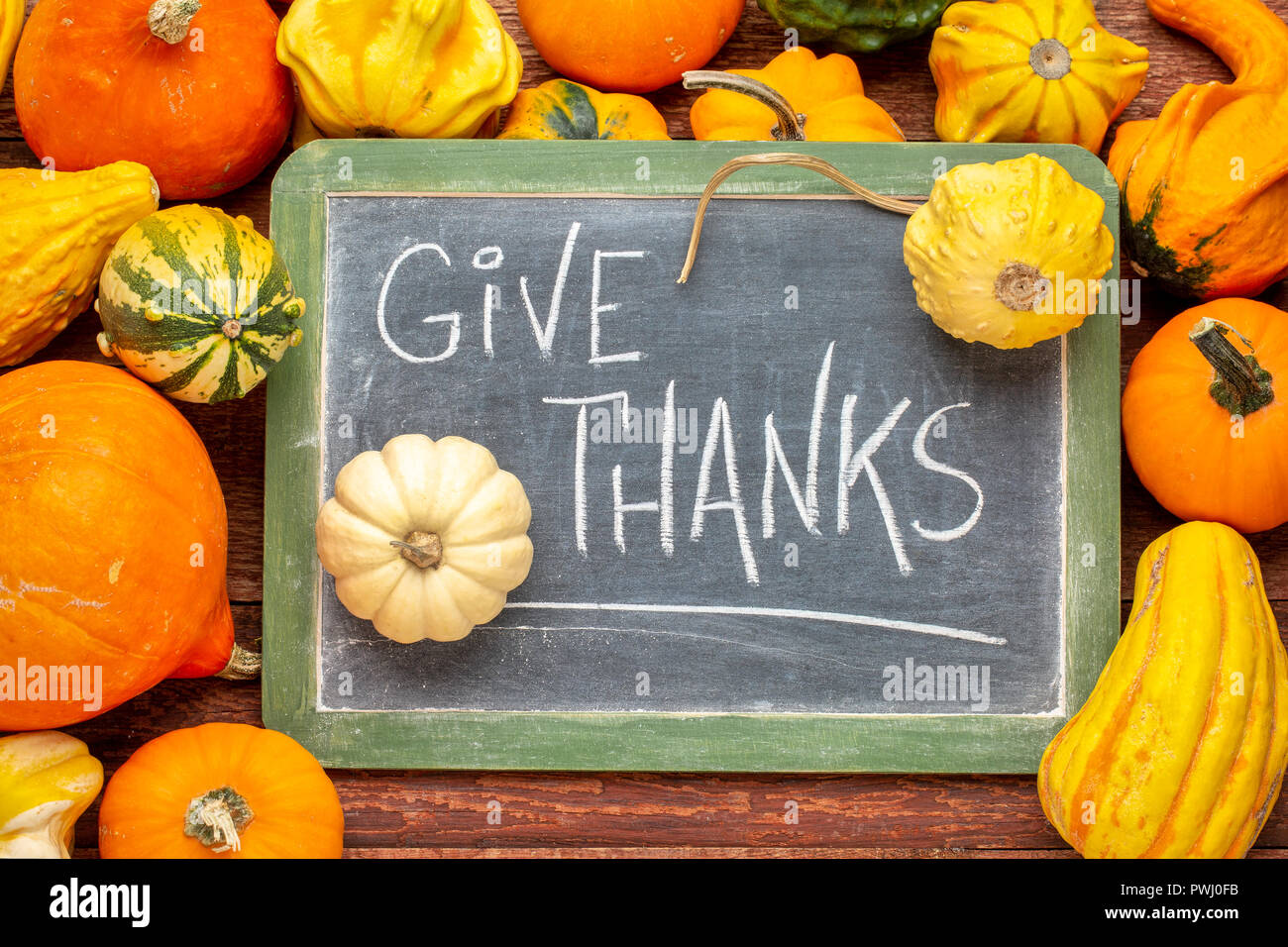 Vielen Dank - Thanksgiving Konzept geben - Wörter in weißer Kreide auf einer Tafel im Winter Kürbis Kürbisse und Umgeben Stockfoto
