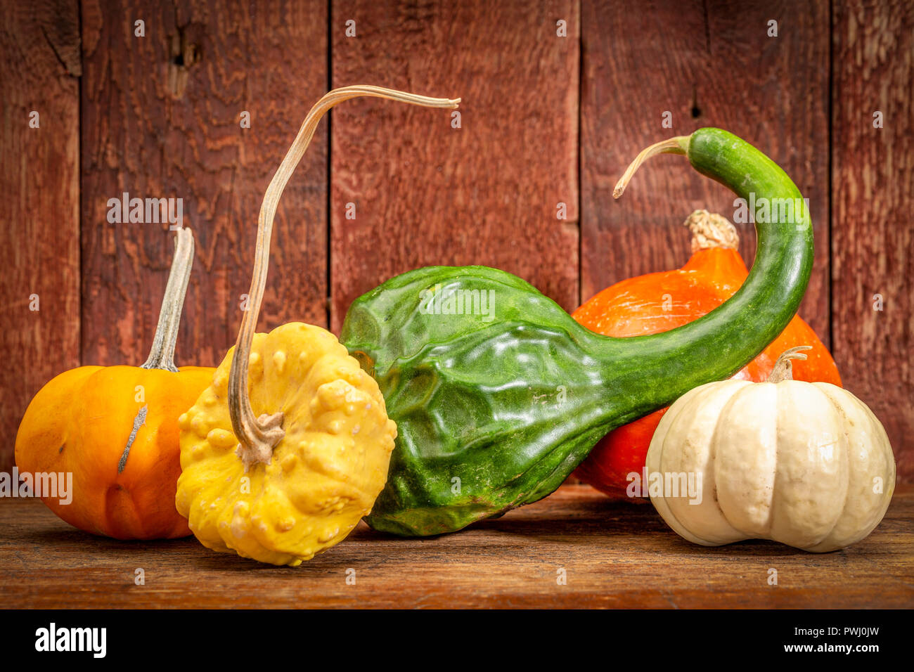 Winter Squash und dekorative Kürbisse gegen rustikalen Herbstferien Dekoration Stockfoto