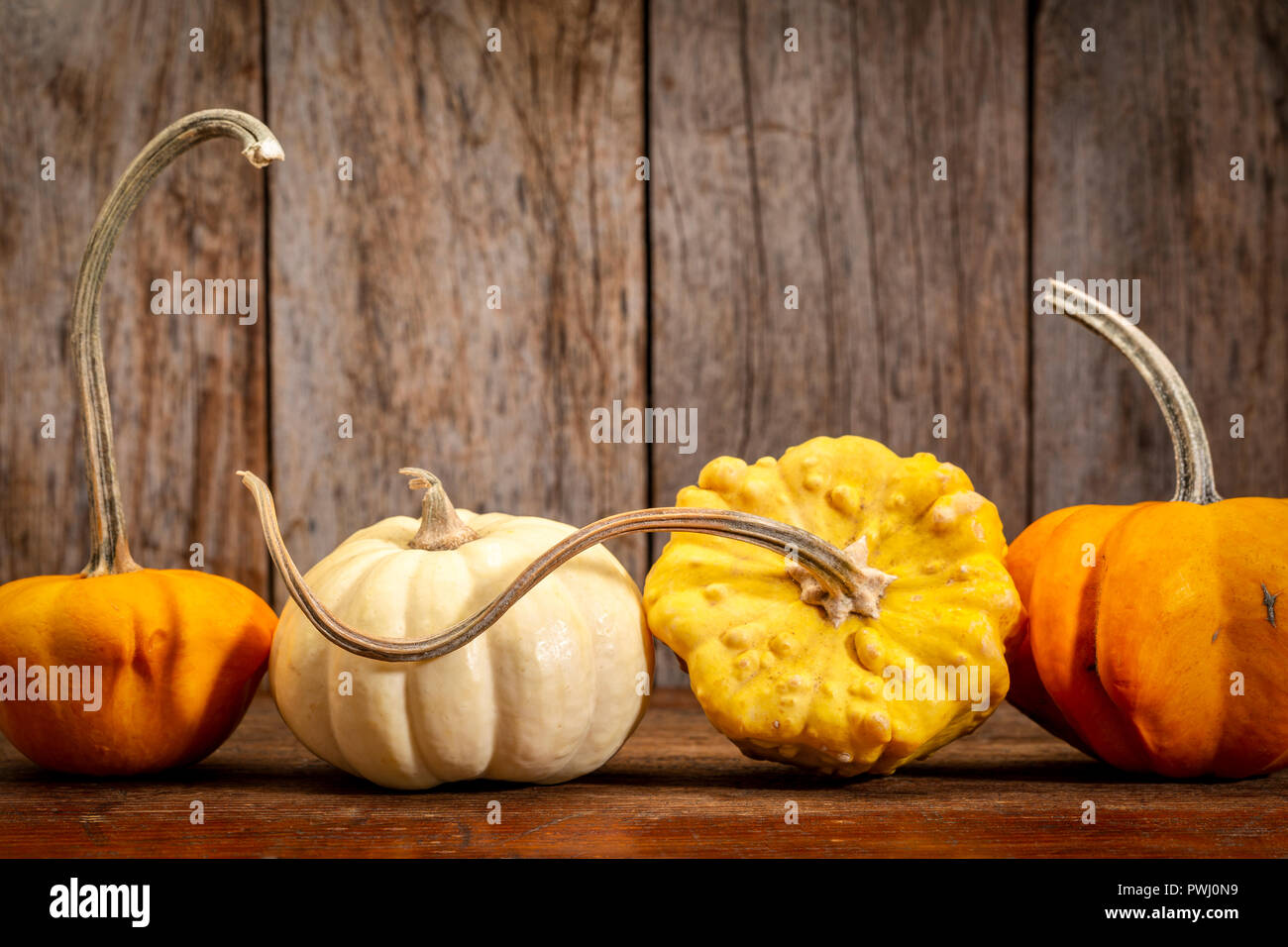 Dekorative Kürbisse gegen rustikalen Herbstferien Dekoration Stockfoto