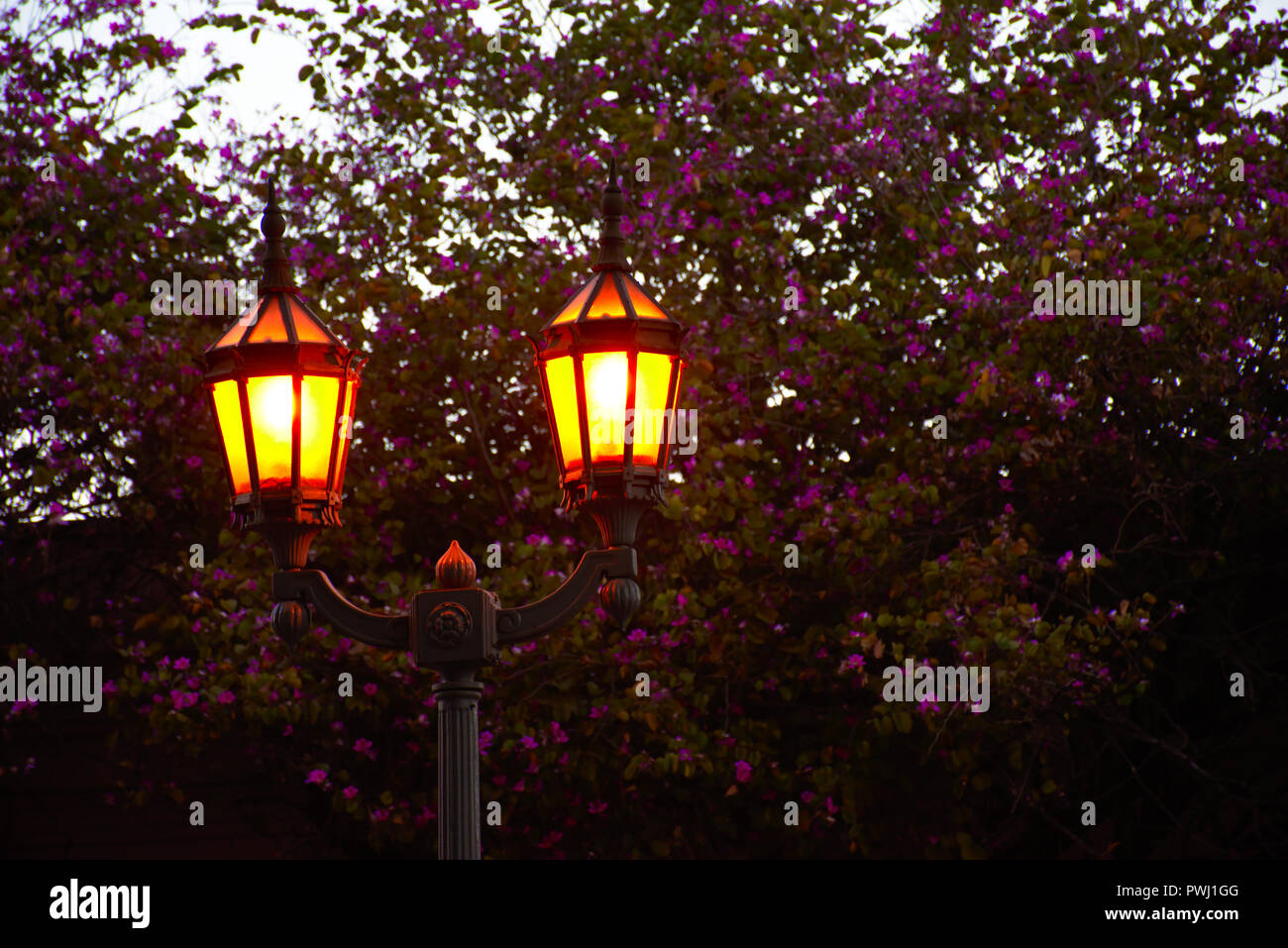 Street Light in Cordoba - Argentinien Stockfoto