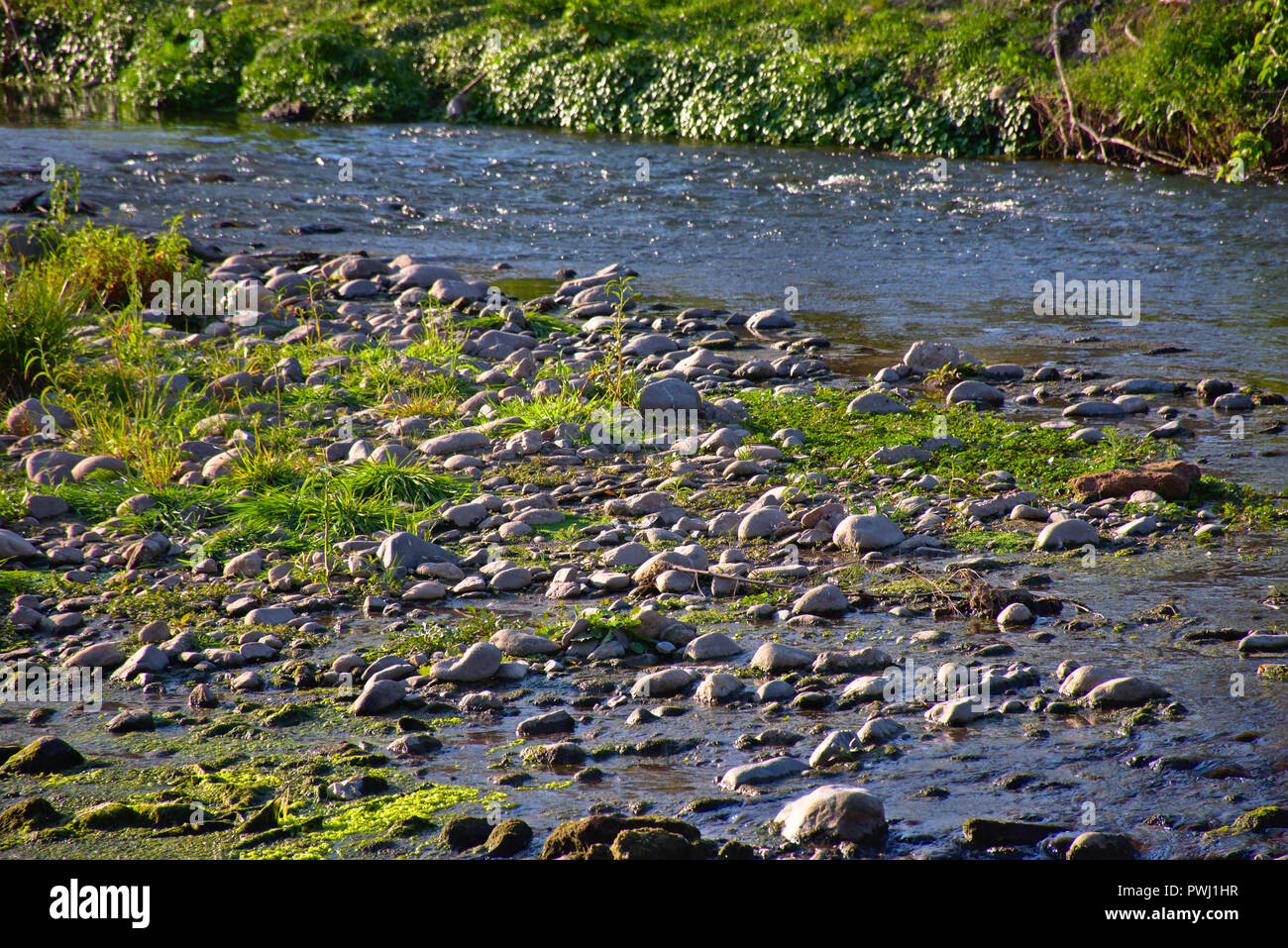 Der Río Surquía Fluss in Cordoba - Argentinien Stockfoto