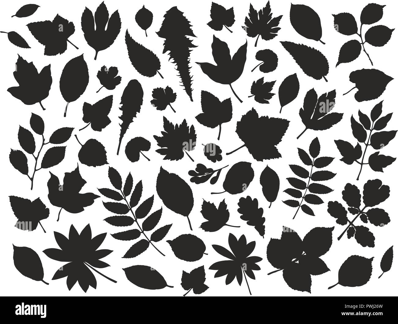 Satz Blätter und Gras. Natur Konzept. Silhouette Vector Illustration Stock Vektor