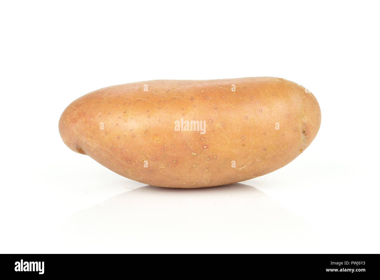 Eine ganze länglich Frische rote Kartoffel francelina Vielfalt auf weißem Hintergrund Stockfoto