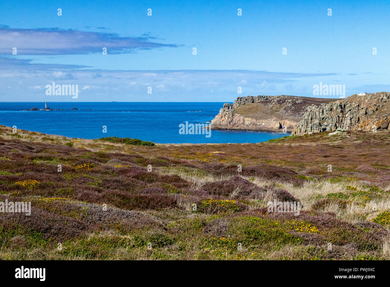 Coast Path, Carn Les Boel, Küste und Flora Detail mit weit entfernten Longships Leuchtturm; Cornish Coast in der Nähe von Lands End. Carn Les Boel, in der Nähe von Lands End, Stockfoto