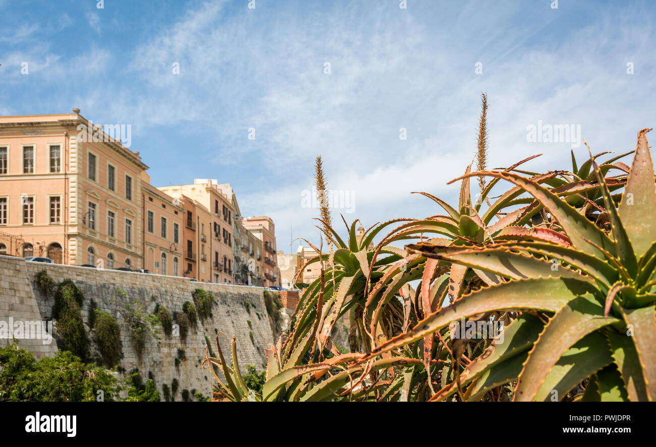 Cagliari Stadtbild von der Terrasse "Umberto I". Von der großen â € oeUmberto ich € Terrasse aus können Sie einen weiten Blick auf die Stadt und auf den Hafen von Cagl Stockfoto