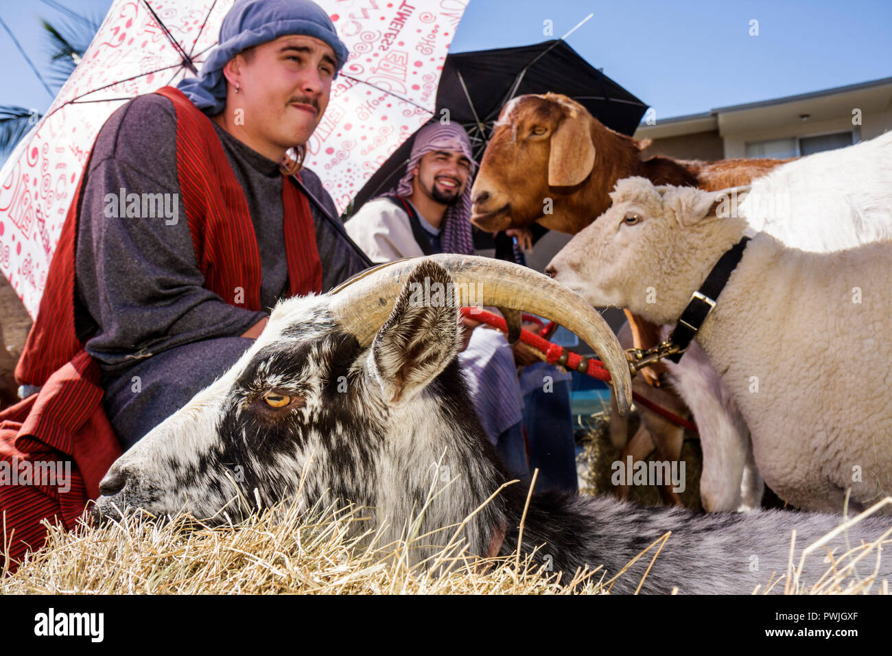 Miami Florida, Little Havana, Calle Ocho, Achte 8th Street, Tres Reyes Magos, drei 3 Kings Day Parade, Hispanic Latino ethnischen Einwanderer m Stockfoto