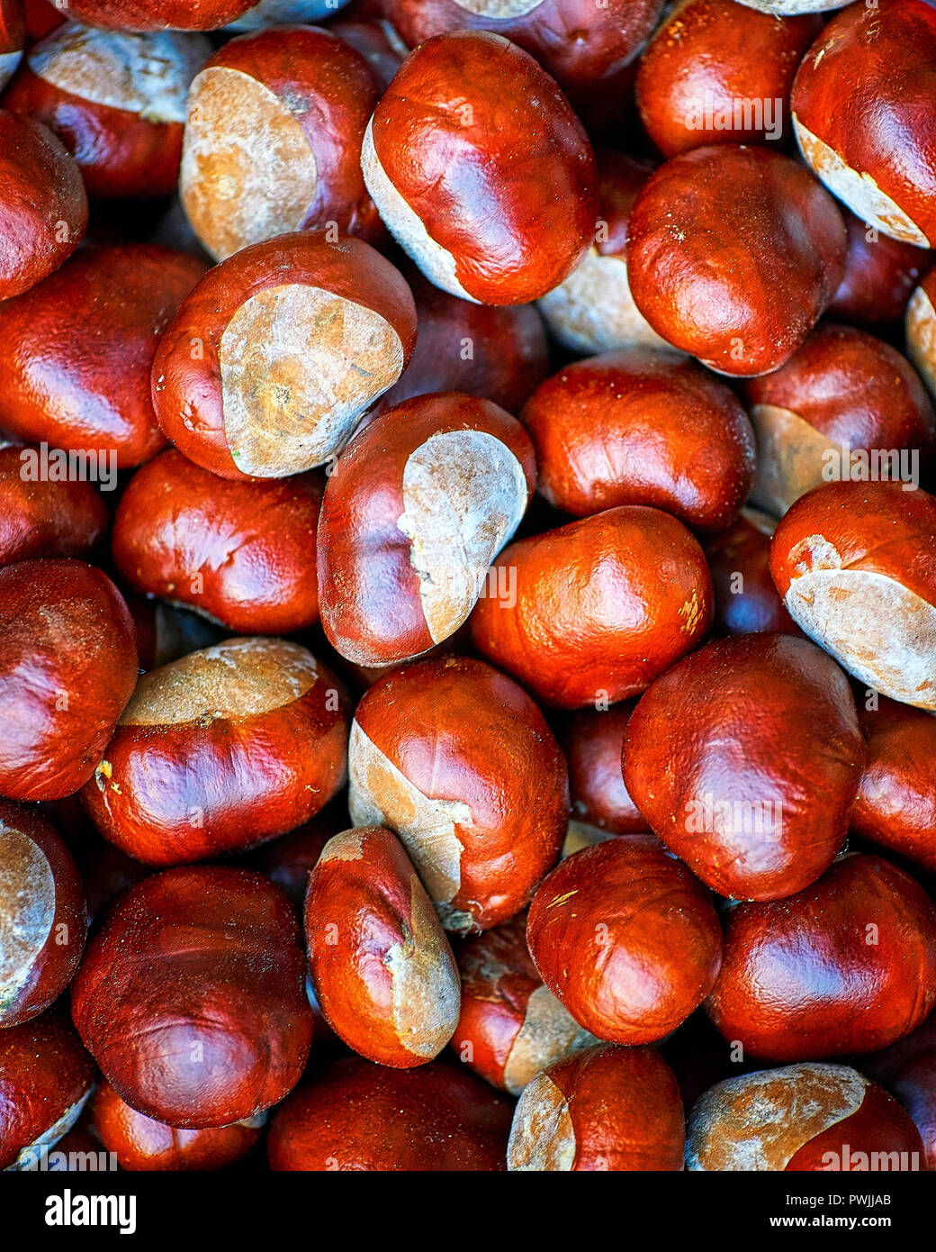 Kastanien Herbst Hintergrund. Herbst wallpaper. Kastanienbaum Herbst Ernte auf grunge vintage Textur. In altmodischem Stil Foto Hintergrund. Stockfoto