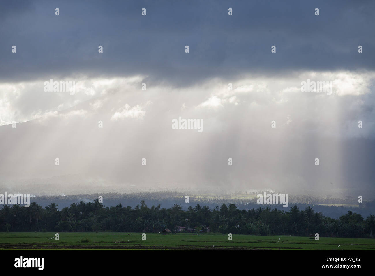 Regenwolken und Felder in Bicol, Philippinen Stockfoto