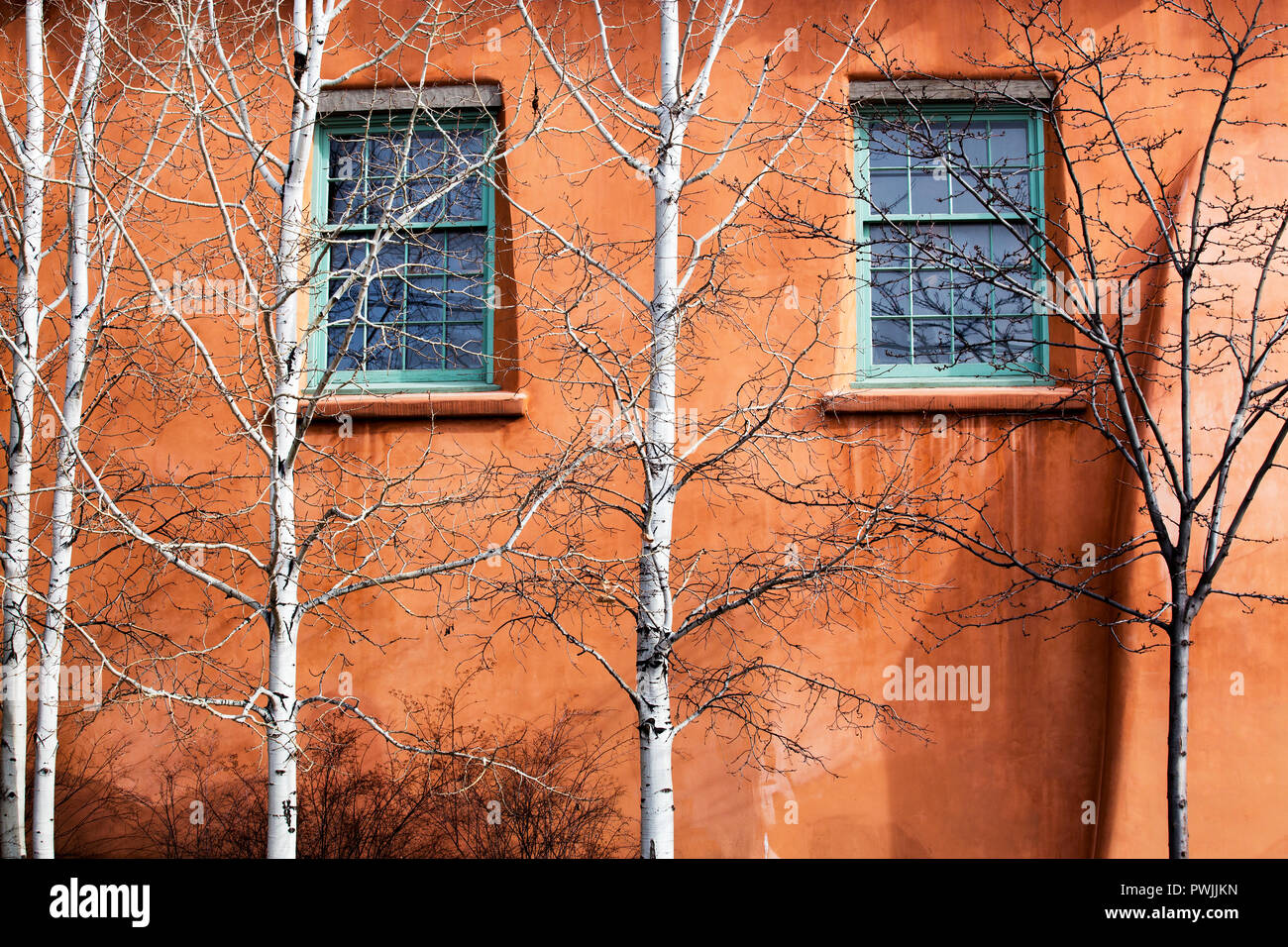 Grüne Windows von Aspen Bäume in Santa Fe, New Mexico bewacht Stockfoto