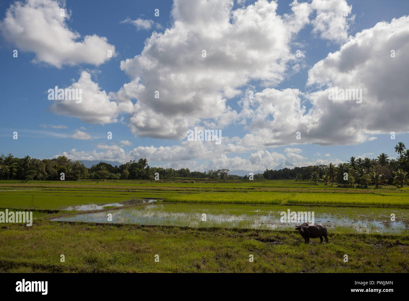 Wolken und Felder in Bicol, Philippinen Stockfoto