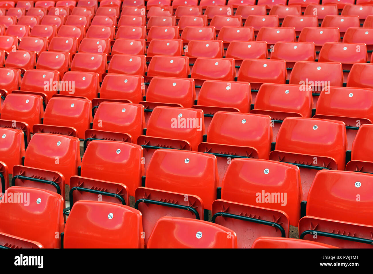 Stadium Seating, Reihen von leeren Sitze, Großbritannien Stockfoto