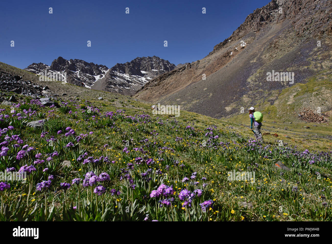 Trekking zu den Gumbezjikul Pass, Pshart Tal, Murghab, Tadschikistan Stockfoto