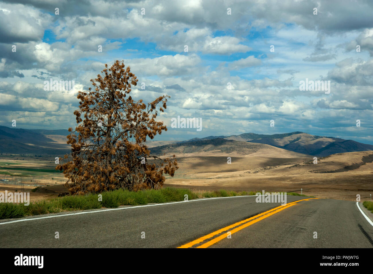 Fahren auf offener Straße im Herbst in der Nähe von Kalispell, Montana, USA Stockfoto