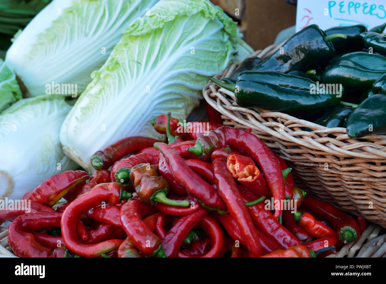 Paprika und Napa cabbage für Verkauf an ein Bauernmarkt in New Mexiko. Stockfoto