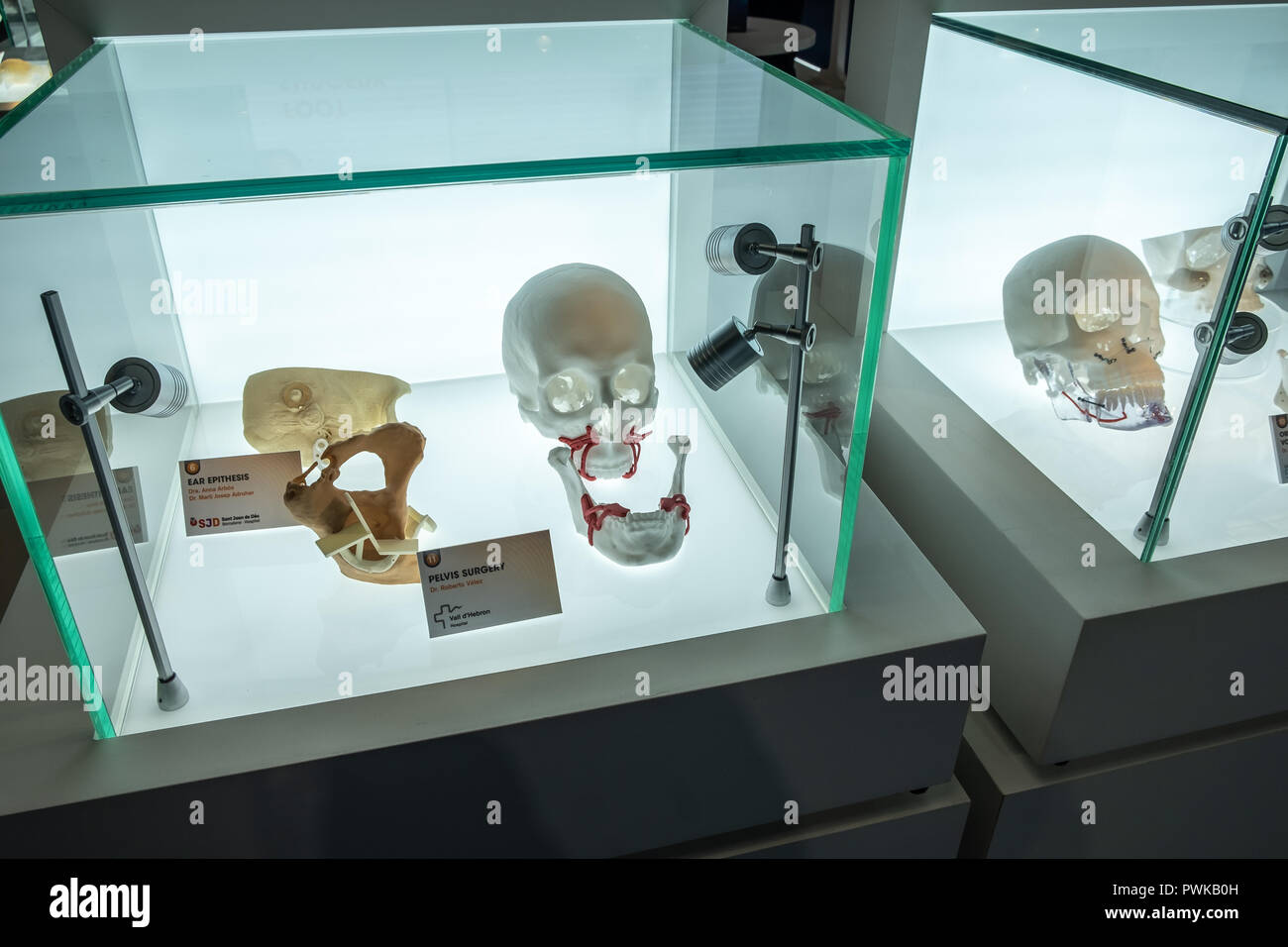 Digitale Modelle der menschlichen Anatomie von Avinent sind während der Veranstaltung gesehen. Feria de Barcelona Gastgeber der dritten Ausgabe des (3D) Industrie Woche. Ziel ist es, den Einsatz von Technologien und Branchen, wie Robotik, Formen und Matrizen, neue Materialien und 3D-Druck zu beschleunigen. Stockfoto