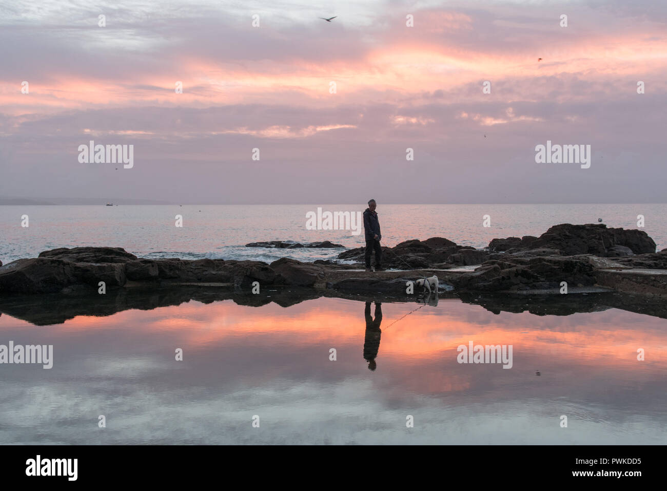 Fowey, Cornwall, UK. 17. Oktober 2018. UK Wetter. Herrliche Sonnenaufgang für diese frühen Morgen Hund Walker, der rockpool bei Mousehole. Eine sonnige Woche voran für Cornwall. Foto: Simon Maycock/Alamy leben Nachrichten Stockfoto