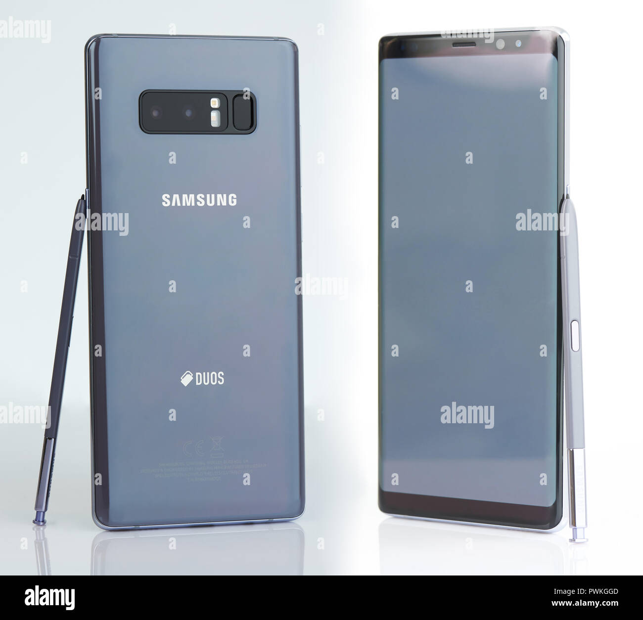 New York, USA - 15. Oktober 2018: Samsung Anmerkung 8 Duos mit pen Smartphone isoliert Stockfoto
