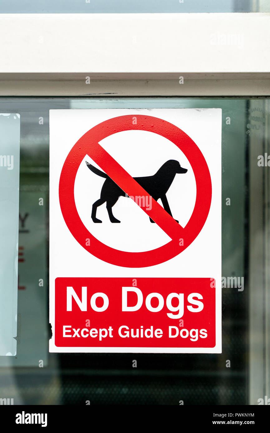 Keine Hunde Aufkleber im Fenster Stockfoto